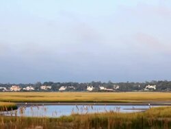 Reed covered intracoastal waterway in North Carolina Stock Footage