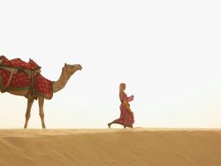Rajasthani woman kicking sand in desert, Sam Desert, Jaisalmer, Rajasthan, India Stock Footage