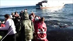 CLEAN : Syrian refugees arrive in Lesbos News Clip