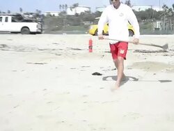Stranded Seal Lions Rescued In Southern California Stock Footage