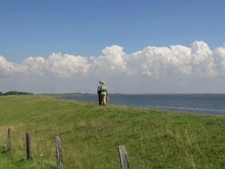 WS View of couple walking in grass field near eidersperrwerk, Dithmarschen, North Sea / Tonning, Schleswig Holstein, Germany Stock Footage