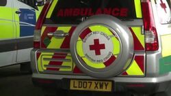 CLEAN : Grenfell survivors experiencing guilt after blaze: Red Cross News Clip