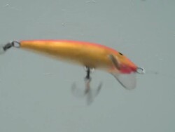 wobbler in a water Stock Footage