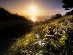 WS SLO MO POV Shot of man bicycling on trail overlooking Ocean / Port Orford Heads State Park, Oregon, United States Stock Footage