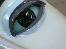 ECU Shot of Eye of Buddha statue inside temple / Yangon, Yangon Division, Myanmar  Stock Footage