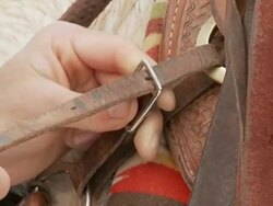 CU Cowboy buckling up a western saddle on a horse / Shell, Wyoming, United States Stock Footage