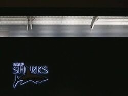 Sale Sharks v Harlequins - Aviva Premiership Stock Footage