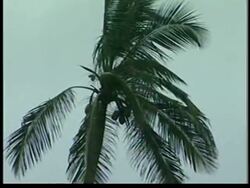 Preparations for Beta, rain and winds News Clip