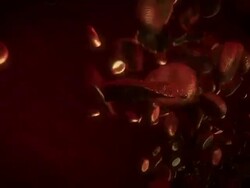 Close Up push-in - Toxoplasmosis parasites travel with red blood cells through a vein in a computer-generated animation. Stock Footage