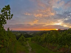 HD TIME-LAPSE: Cloudscape Over The Vineyards Stock Footage
