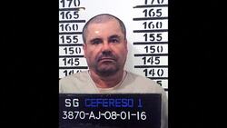 VOICED : Del Castillo hablara pronto sobre relacion con El Chapo News Clip