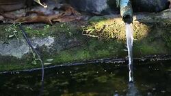 HD: Surfing the sewage dumps Stock Footage