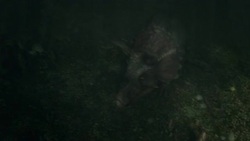 A meteor impact rocks dinosaurs that amble through a forest in a computer generated animation. Stock Footage