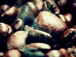 Coffee beans Stock Footage