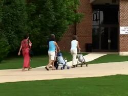 Families Walking Stock Footage