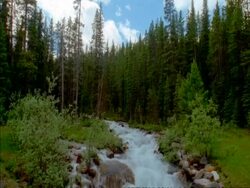 WA scenic view of wild creek surrounded by rocks and woods, Canada Stock Footage