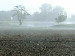 HD DOLLY: Foggy Countryside Stock Footage