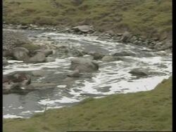 COLOMBIA: ACTIVISTS RAISE AWARENESS ABOUT RIVER BOGOTA POLLUTION News Clip