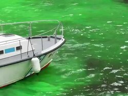 Close-Up Green River Chicago Stock Footage