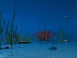 Underwater Series Stock Footage