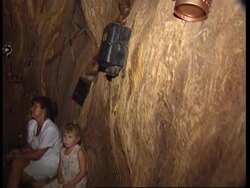 South Africa - Pub in a tree trunk News Clip