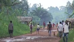 COP23: l accord de Paris passe par les tourbieres du Congo News Clip