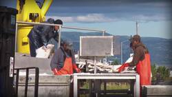 Market Failures, Taxes, and Subsidies: Crash Course Economics Instructional Video