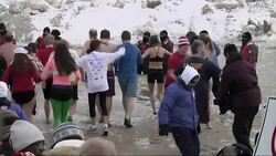 Jimmy Fallon, Chicago Mayor take quick, frigid dip for charity Instructional Video