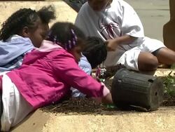 ATMOSPHERE: participants and guests at "Be Amazing" Stand Up Volunteer Initiative - Brooklyn Stock Footage