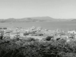 Stranded Russian sailors enjoy San Francisco after rescue Stock Footage