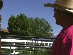 Slow motion handheld shot of a cowboy and a skewbald horse Stock Footage