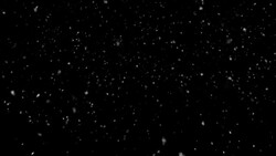 Snow Falling | Loopable Stock Footage