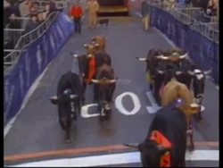 USA: BULLS LET LOOSE ON WALL STREET News Clip