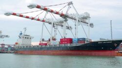 Cargo container shipping transportation Stock Footage