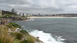 Bondi and Tamarama Beaches Coastal Path, Sydney Australia Stock Footage