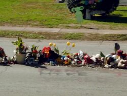 News Report Offers New Details Of Encounter Between Michael Brown And Ferguson Cop Stock Footage