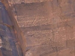 Golden Eagle Soaring Part 3 Stock Footage