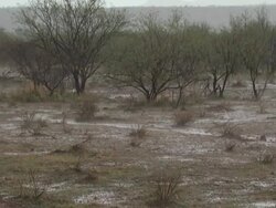 Very heavy rain falling on desert floor. Sonoran Desert, Arizona, USA. Stock Footage