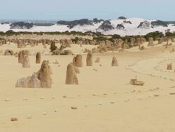 WS PAN View of pinnacles in desert / Cervantes, Western Australia, Australia Stock Footage