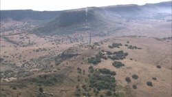 A helicopter flies over a game reserve in Kruger National Park. Stock Footage