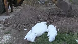 CLEAN : Unidentified migrants including child buried in Lesbos News Clip