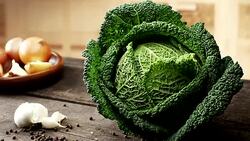 Fresh kale Stock Footage