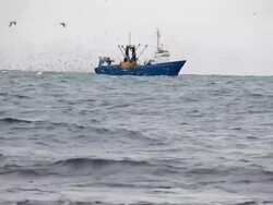 fishing season Stock Footage