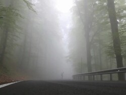 Ground level view of longboarder descending foggy road Stock Footage