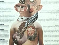 VOICED: Government struggles to ween Egyptians off tobacco News Clip