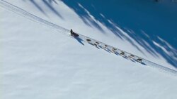 A dogsled competes in the Yukon Quest race. Stock Footage
