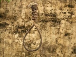 Hangman's Noose Stock Footage