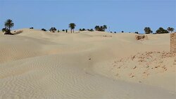 Ruins of village Zaafrane / Kebili Governorate / Tunisia Stock Footage