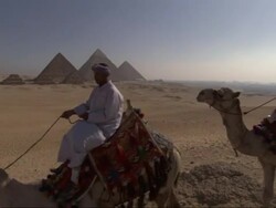 Three men ride camels near the Great Pyramids in Egypt. Stock Footage