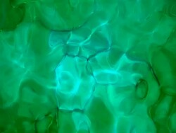 Green Water Stock Footage